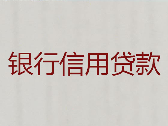 自贡本地贷款公司